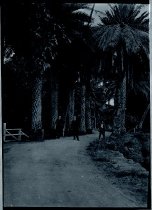 Two priests and a man at Moanalua Gardens, Oahu.